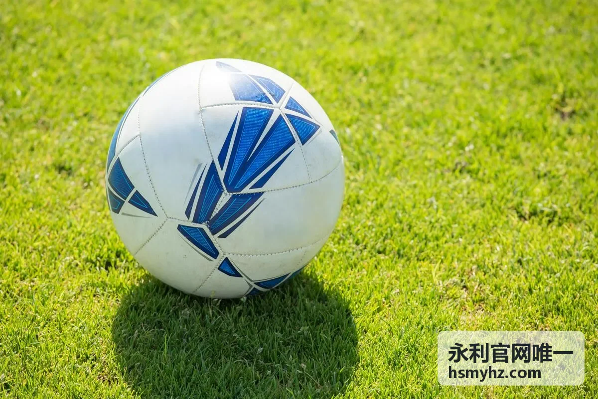 永利官网唯一唯一认证入口与服务提示封面